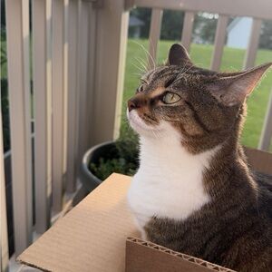 Meet your Posher, Kendall